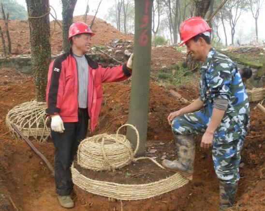 景观园林绿化养护技术