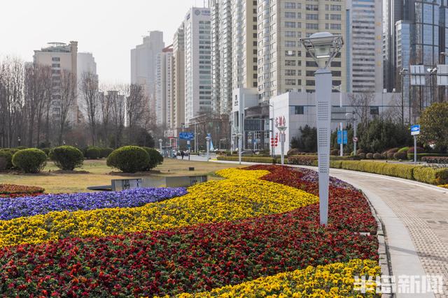 花卉景观扮靓街头