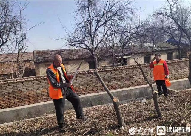 德州公路武城分中心对春季路树开展绿化抚育