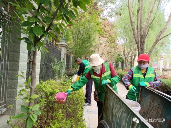 园林绿化整治不停步 城市景观形象再提升