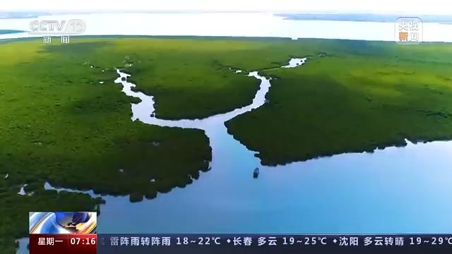 “绿色”成绩单亮眼！我国生态保护修复工作取得历史性成就