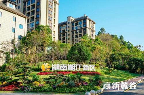扩绿提颜值 扮靓“大河西”
