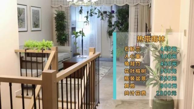 家里养花有啥讲究？这几点要注意