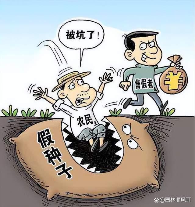 警惕四种假苗：日本雪铃树，日本四照花，英格兰山楂，欧洲鹅耳枥