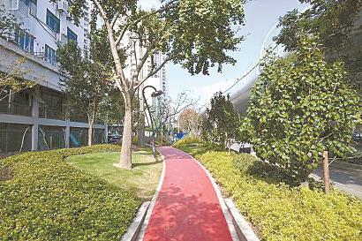 上海汶水东路中环沿线绿化景观提升全新亮相