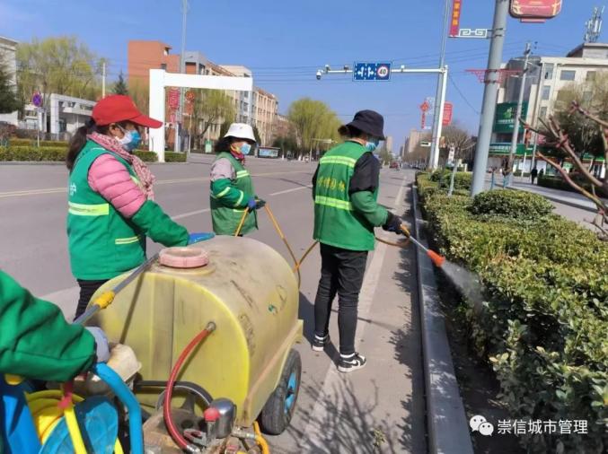 阳春三月 绿化补植补造正当时