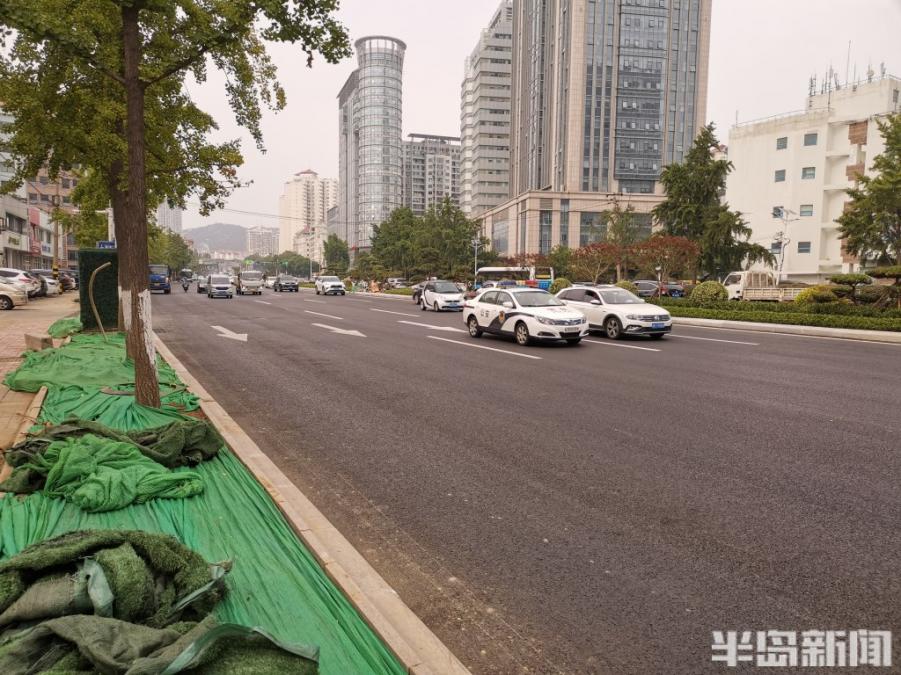 福州南路中央绿化带终于变绿了！