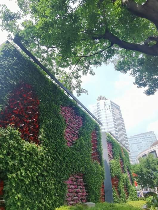 上海公园城市建设中的立体绿化，你知道哪些？