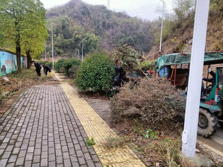 “梳妆换颜” ，绿化养护正当时！
