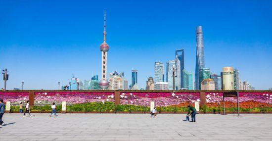 上海公园城市建设中的立体绿化，你知道哪些？