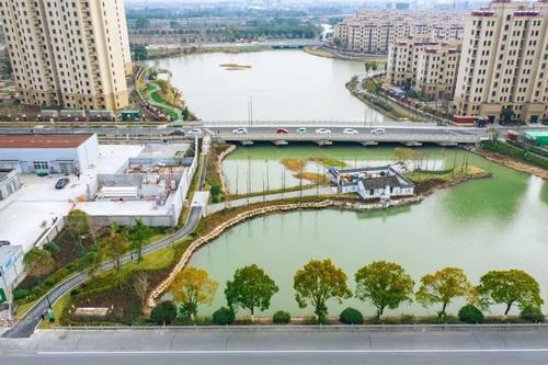 平湖市街头多处绿化容貌升级