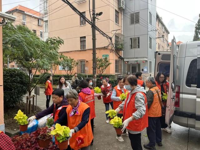 社区治理“景”上添“花”！宝山这个小区进行绿化带微更新