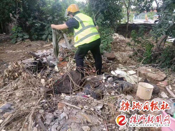 荷塘城管推进园林绿化整治 助力“百日攻坚”行动