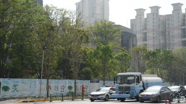 一起来探班！武宁南路沿线绿化恢复工程亮点→