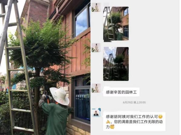 绿化提升！碧桂园多社区园林焕新颜