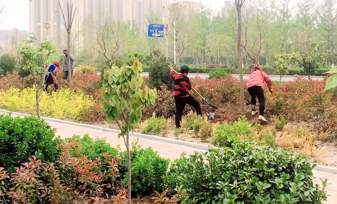 河北磁县：“六环绿化”助力森林城市建设