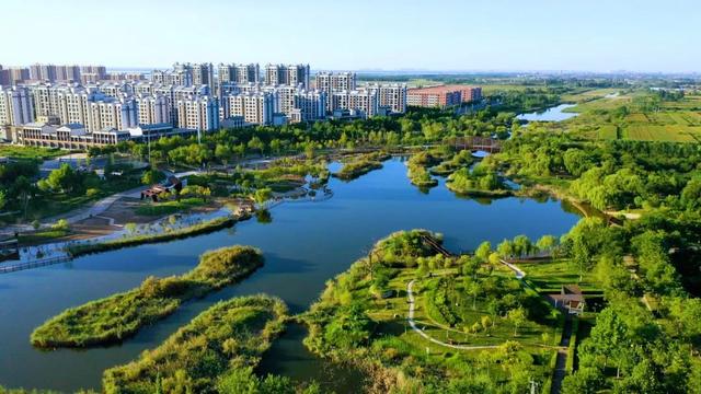 植出一片绿 扮靓一座城——衡水市城市园林绿化工作综述