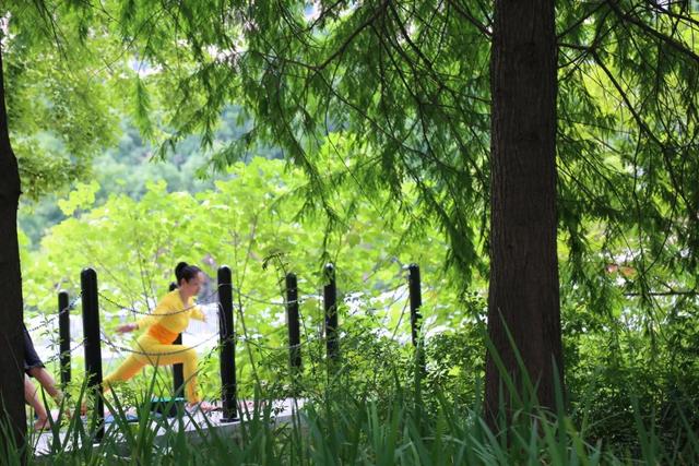 绿化与城市发展紧密相融！“绿色幸福感”，已成为普陀人民生活的一部分