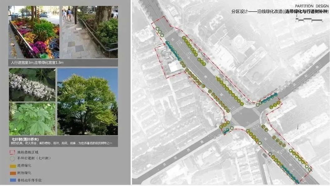 绿意回归！武宁南路沿线绿化恢复工程陆续启动
