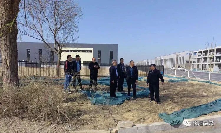 下足”绣花”功夫 彰显城管速度——市城市管理局高效推进巨人大道绿化改造提升工程