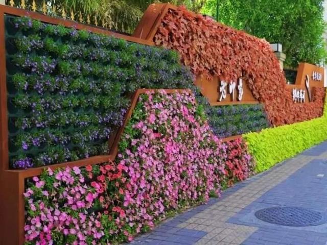 展现历史文化底蕴：走进彭浦新村街道立体绿化