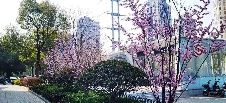 分享丨即将完工！一起坐上长宁这趟“公园列车”吧