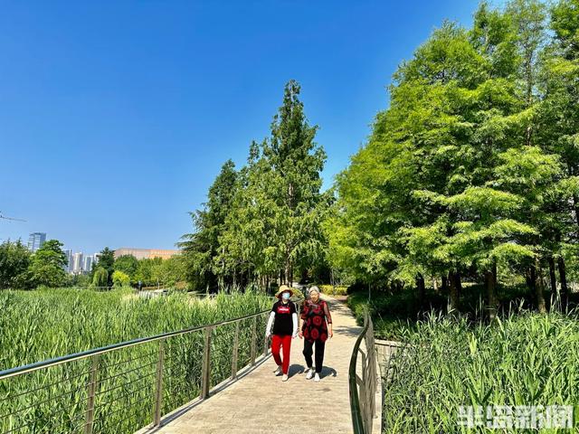 家门口的美景！侯家庄口袋公园上新