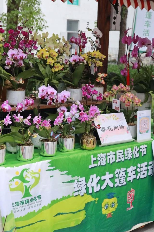 感受怡人绿意，“绿色大篷车”开进杨浦这里