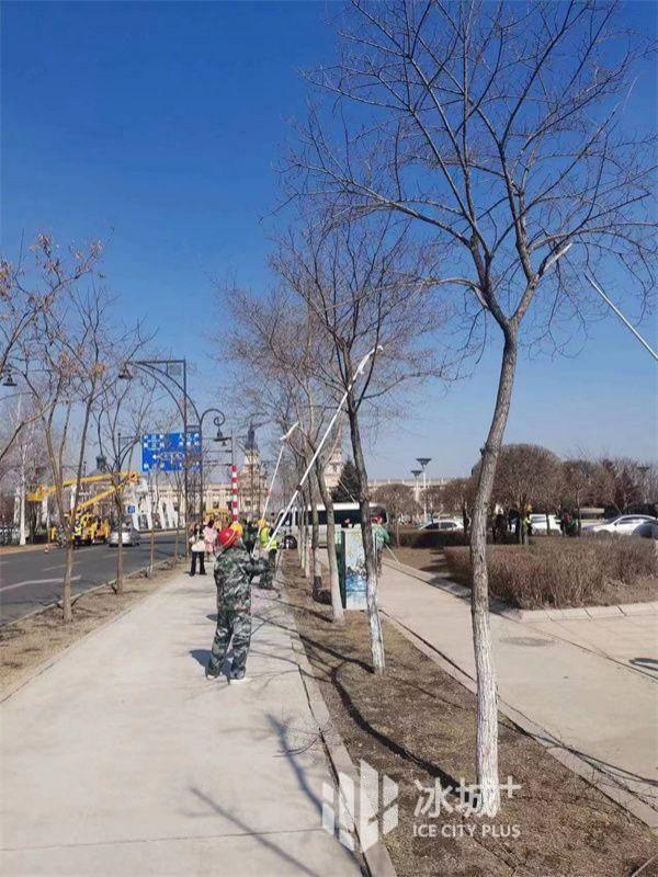 哈市将打造 10 条园林绿化示范街路