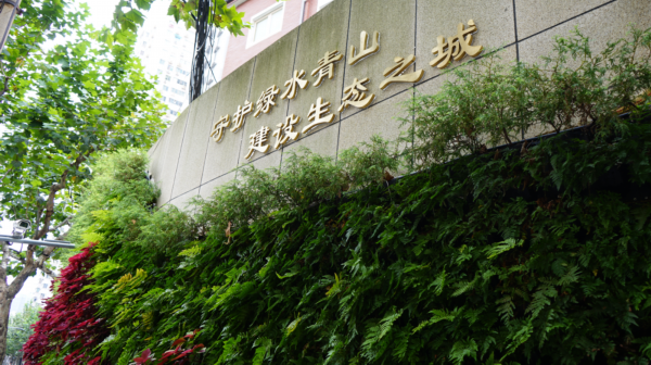 绘“绿水青山”，赏“梧桐秋叶”！这里的立体绿化为初秋街景增色↑↑↑