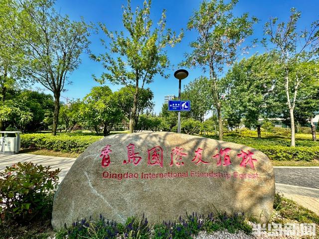 家门口的美景！侯家庄口袋公园上新