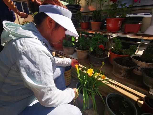 养花第3天，就被“教训”不会给花浇水，原来浇水还要先掌握这6点