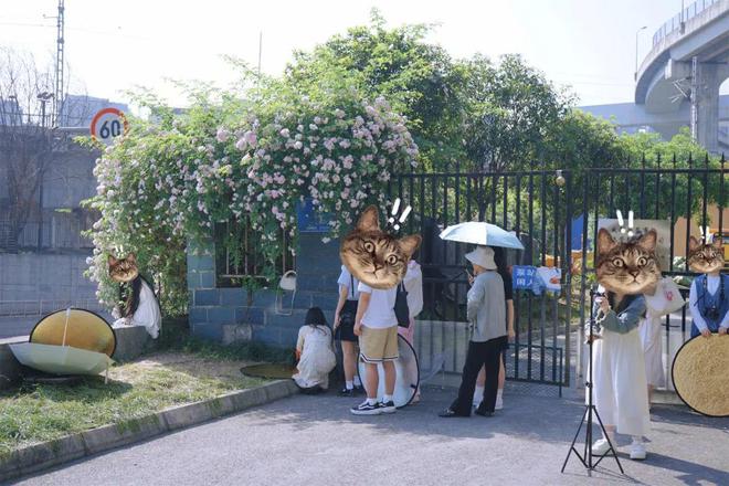成都的绿化带，比开业花篮还热闹