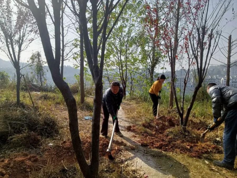 “梳妆换颜” ，绿化养护正当时！