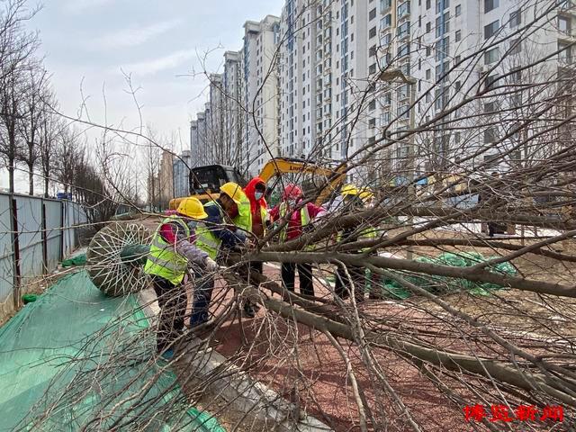 抢抓春季好时节 绿化提升正当时