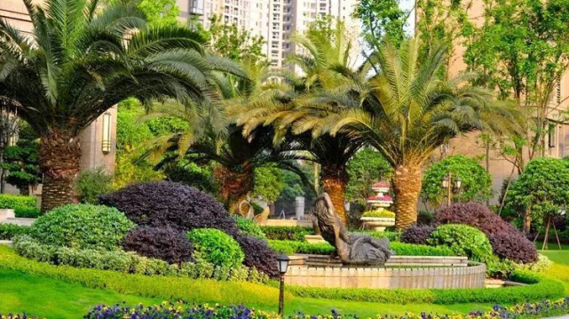 植物造景是一支充满魔力的笔，旋转之间便打造成艺术感满满的空间