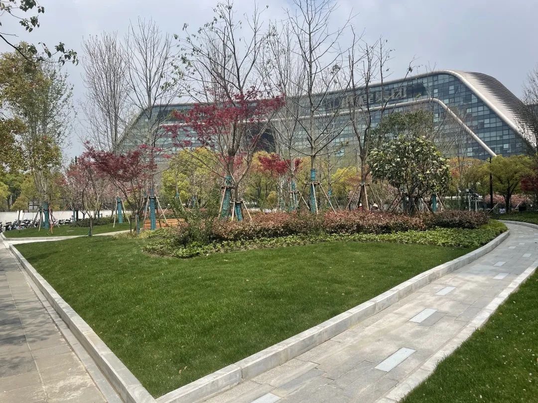 临空园区将新建4个“口袋公园”，还将打造“红枫街