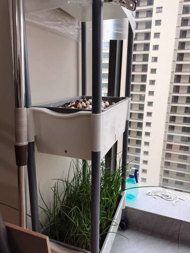怎样设计阳台景观花园，自己动手这样做，让你家阳台变得更美