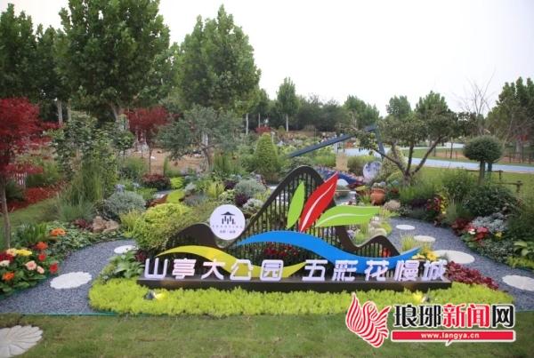 想要邂逅烂漫花海？快来“在临沂”预约