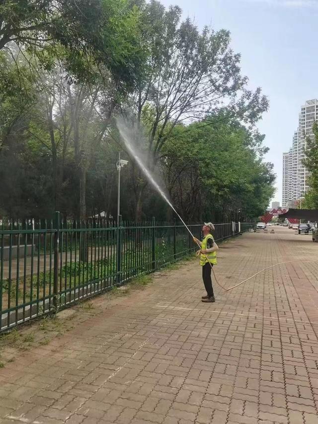 夏日护绿忙！7月以来烟台园林建设养护中心整治绿地406万平米