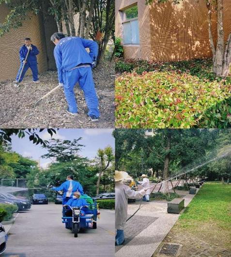 草地如地毯！上海万科物业加强绿化整治 打造美丽宜居小区