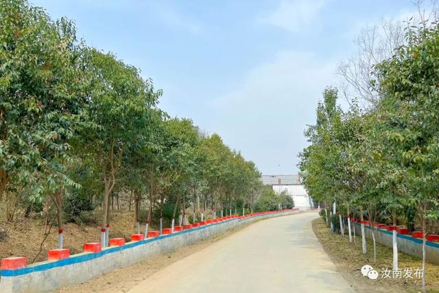 汝南：推进国土绿化 扮靓美丽乡村