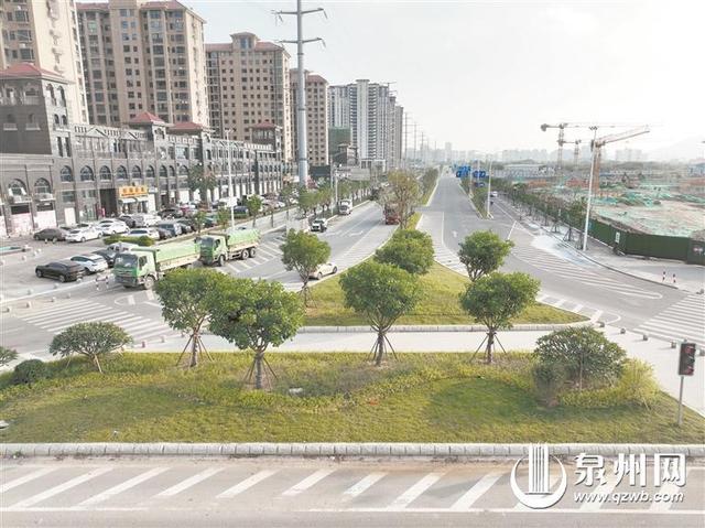 西华洋片区市政道路一期绿化工程完工