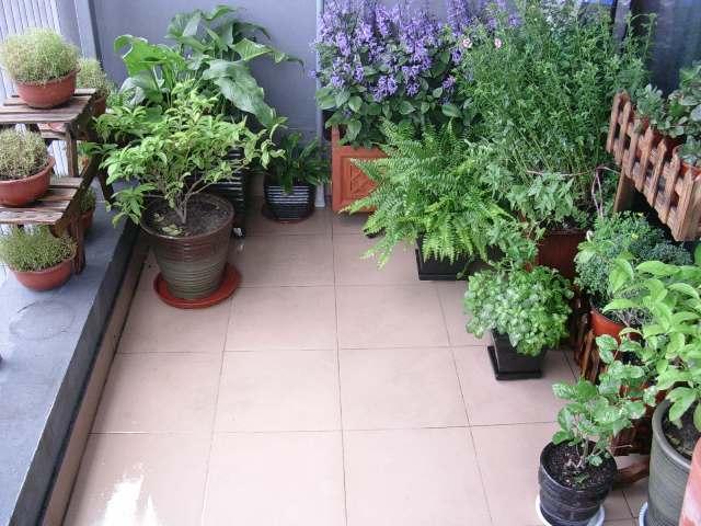 老人常说“家中有六花，不富还败家”，一辈辈传下来的俗语，要听