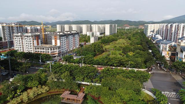 推进绿美城市建设 全力打造绿美图景