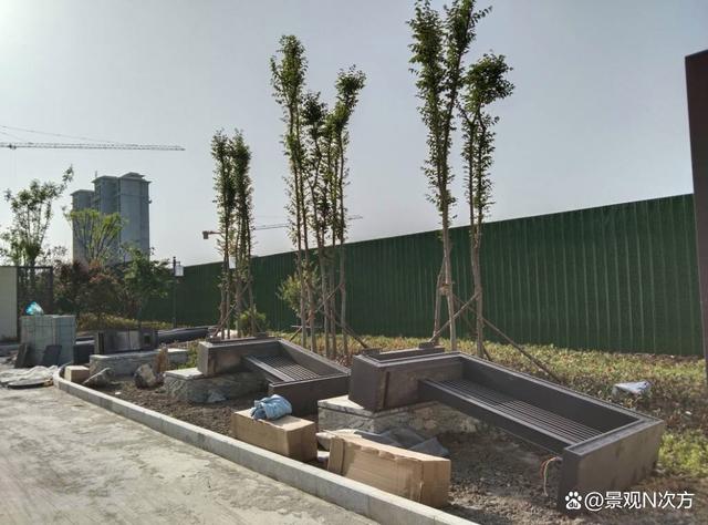 为什么秋冬季使用大树营养液的苗木，第二年春季更容易死亡？