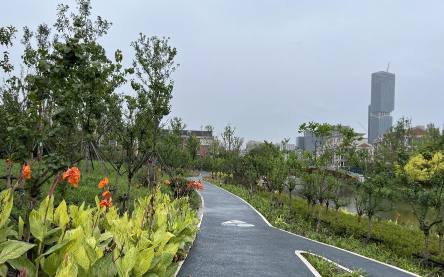 市绿化部门完成2023年新建绿道巡查工作