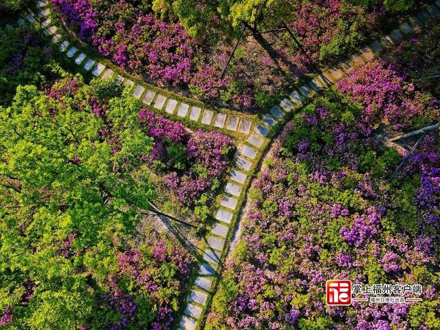 打造福州生态新名片！三江口植物园将分四期建设