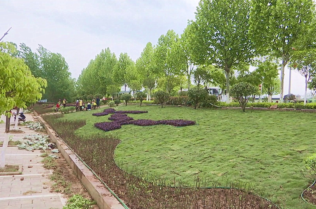  推窗见绿 出门见景 孝昌加快绿化美化 提升城市“颜值”