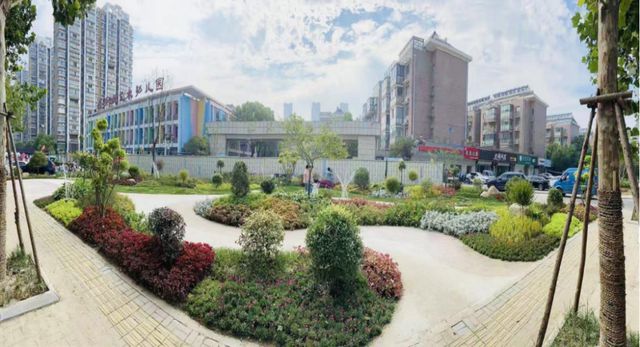 江苏泰州：一花一世界，一树一景观